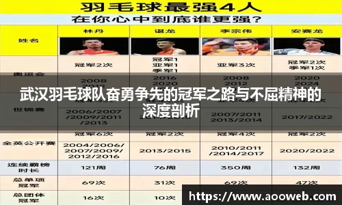 武汉羽毛球队奋勇争先的冠军之路与不屈精神的深度剖析
