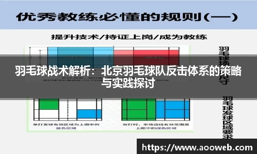 羽毛球战术解析：北京羽毛球队反击体系的策略与实践探讨